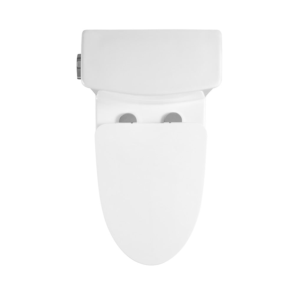 AQUAMAX One Piece Toilet with Side Flush