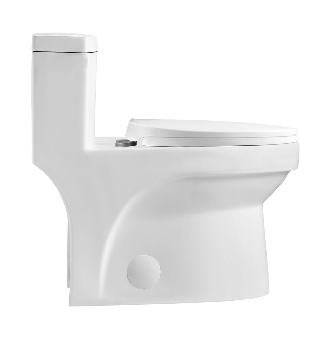 Vertex One Piece Toilet with Dual Flush