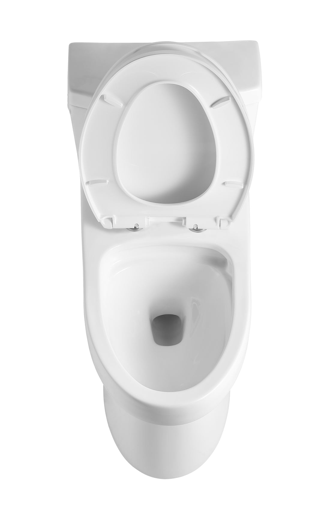 Vertex One Piece Toilet with Dual Flush